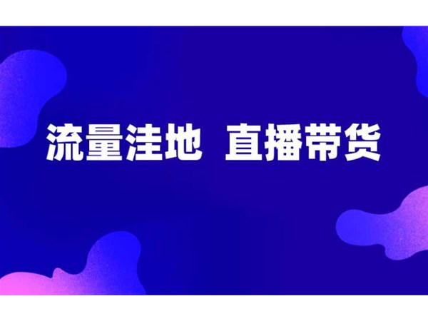正播網(wǎng)紅直播帶貨，新的流量洼地！
